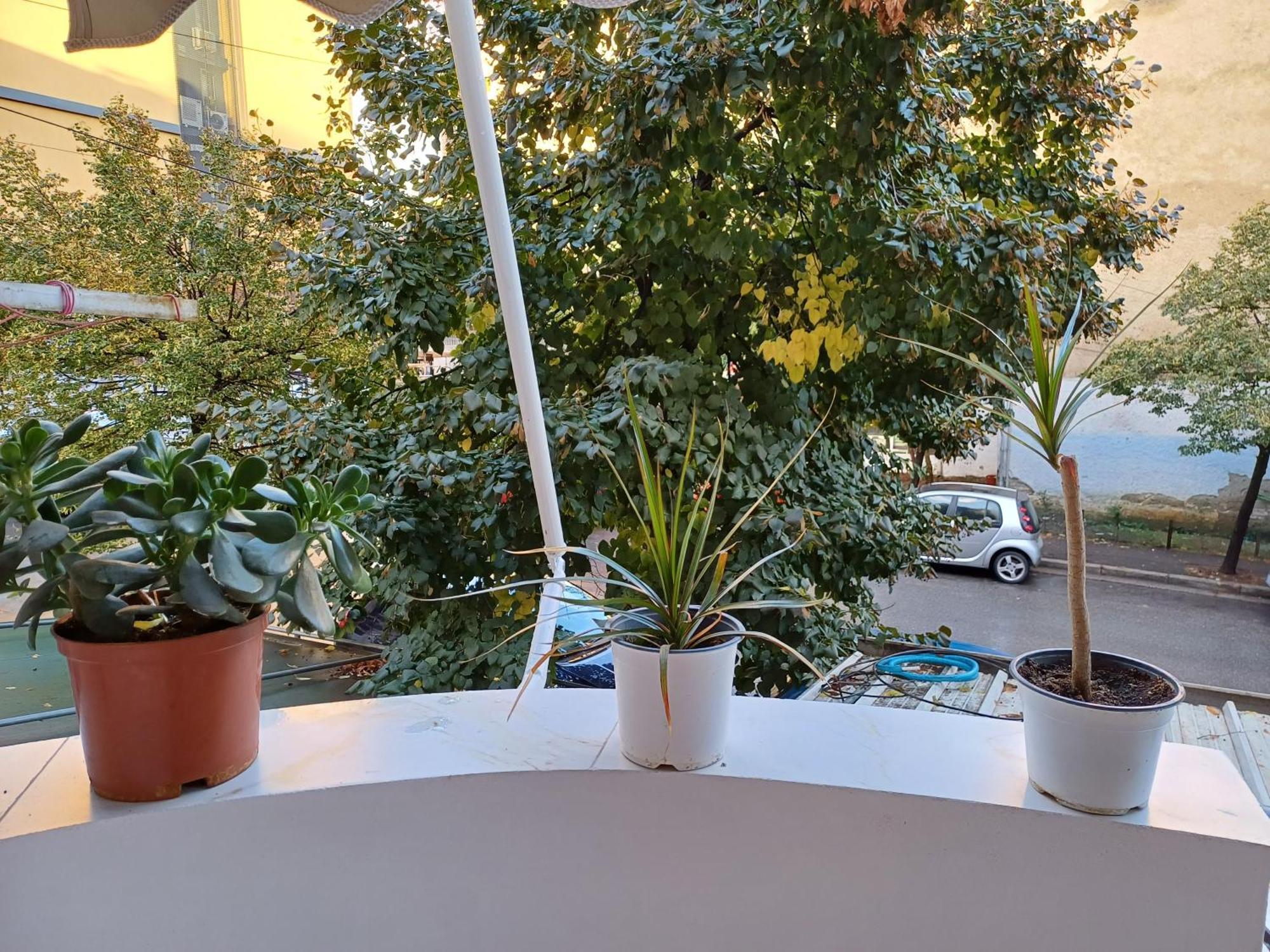 Regis Apartment Tirana Kültér fotó